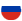 icon-ru-flag