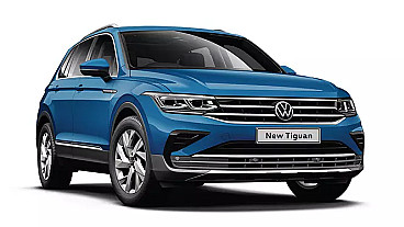 IgY_tiguan