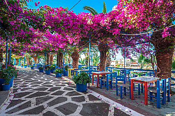 Ipy_may-in-crete