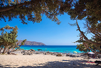 tOF_kedrodasos-crete