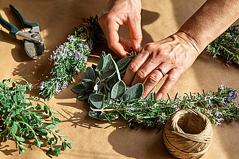 aM4_cretan-herbs