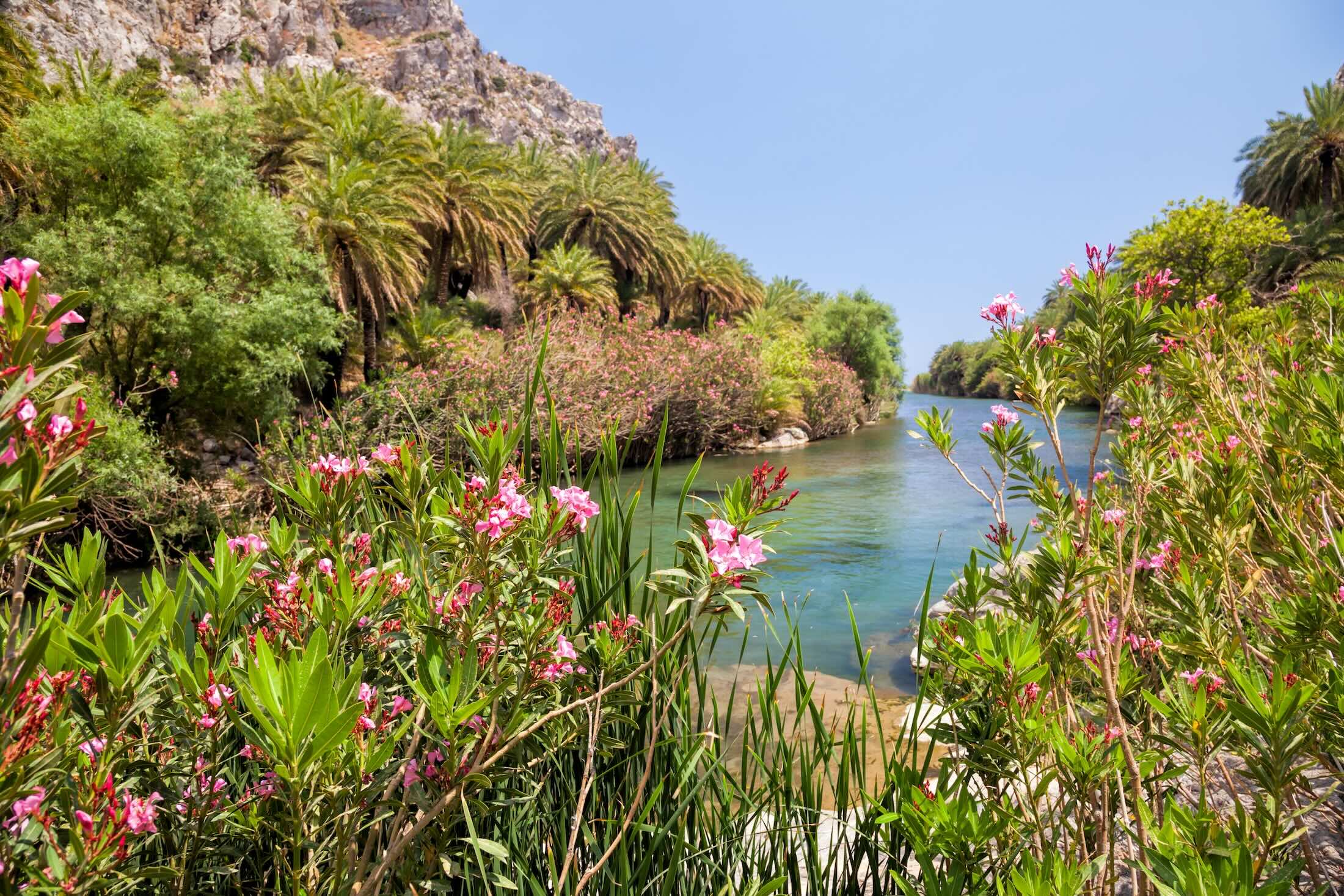 La Crète en fleurs : Une escapade printanière sur l'île enchanteresse de Grèce La Crète en fleurs : Une escapade printanière sur l'île enchanteresse de Grèce