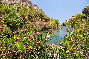 Sii_crete-in-blooms