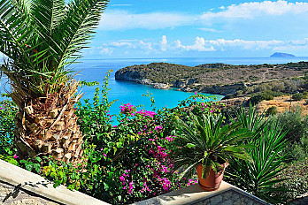 97y_flowers-crete-20205