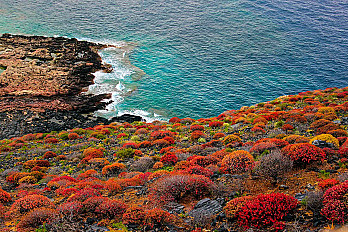 XXt_crete-autumn