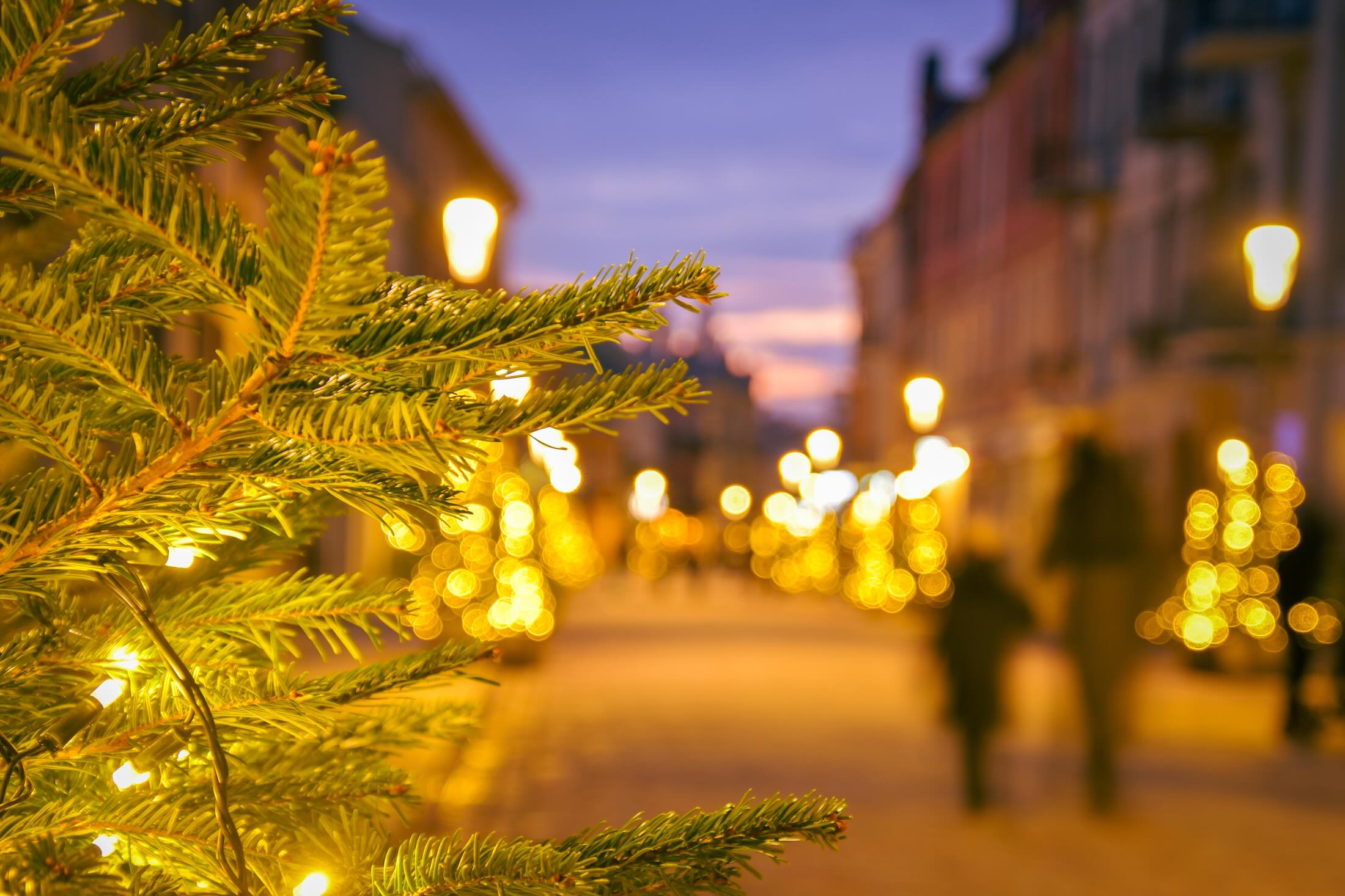 Discover the highlights Christmas events for a wonderful experience