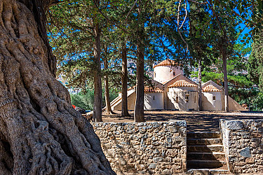 COy_cretan village- panigyri