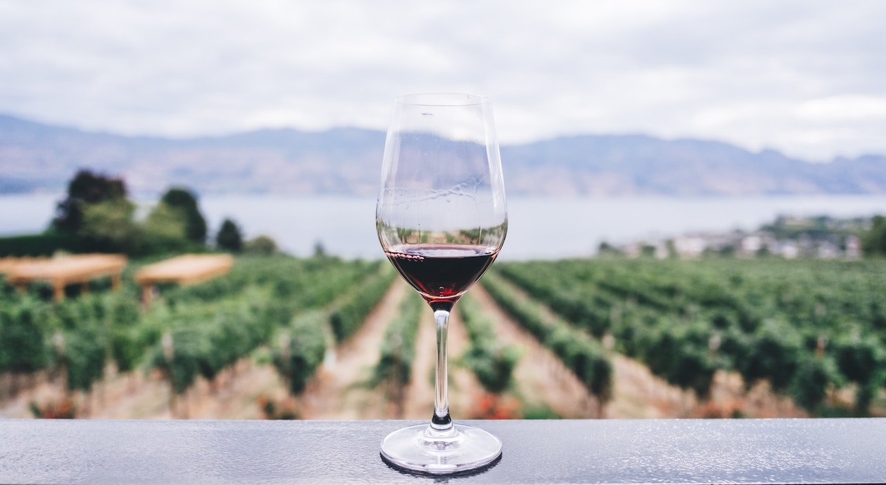 glass of red wine in crete vineyard